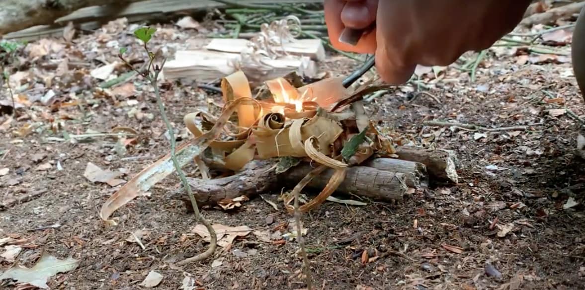 Woodland Survival Skills Experience - 2nd July 2022