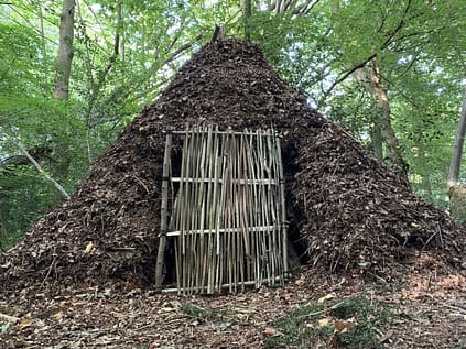 winter brush shelter